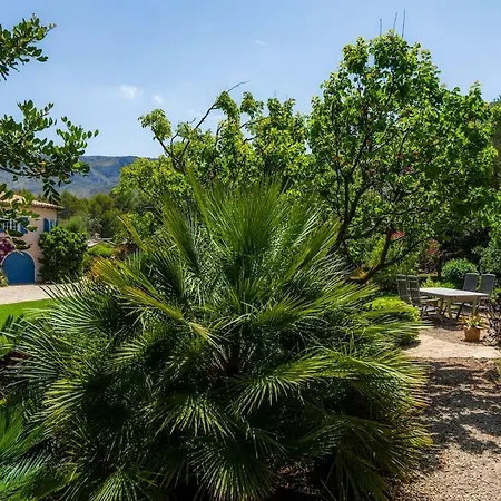 Finca Ses Figueres Villa *