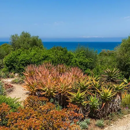 Finca Ses Figueres Villa