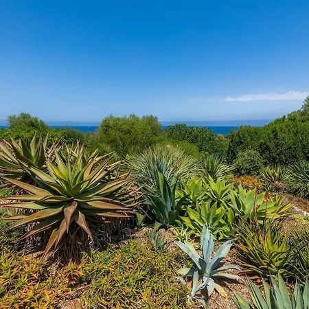 Finca Ses Figueres Villa *